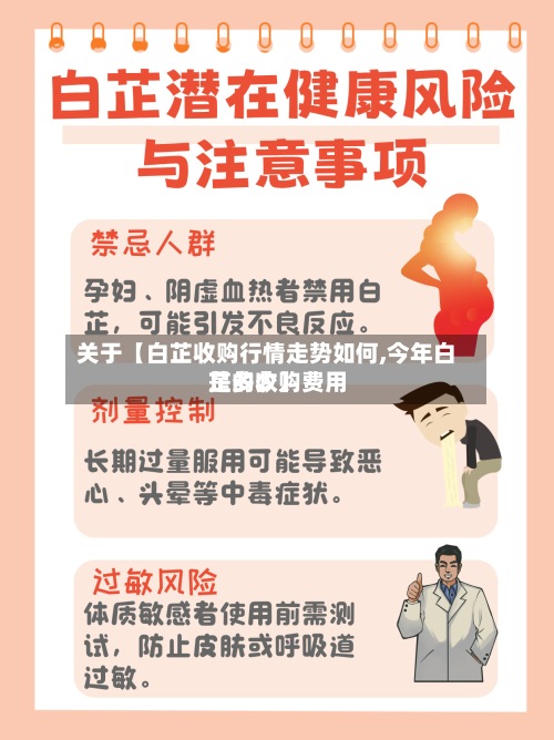 关于【白芷收购行情走势如何,今年白芷的收购费用是多少】-第3张图片