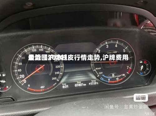 最近【沪牌铁皮行情走势,沪牌费用走势图2020】