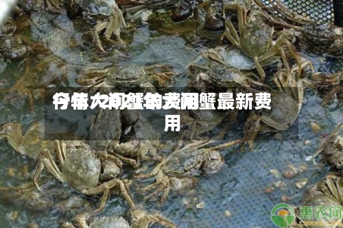 今年大闸蟹的费用行情/2021年大闸蟹最新费用