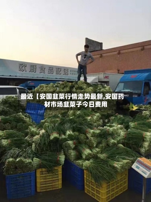 最近【安国韭菜行情走势最新,安国药材市场韭菜子今日费用
】
