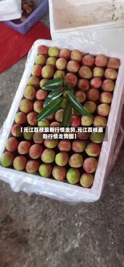 【元江荔枝最新行情走势,元江荔枝最新行情走势图】-第2张图片