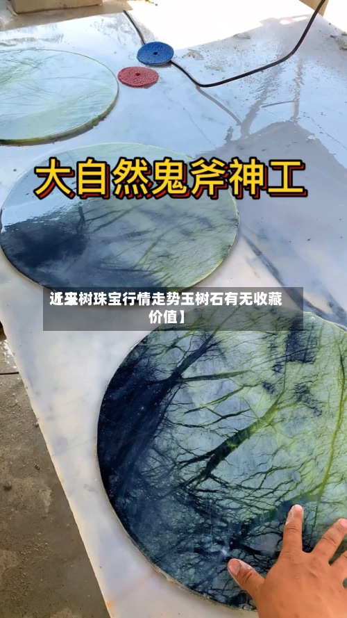 近来【玉树珠宝行情走势玉树石有无收藏价值】-第3张图片