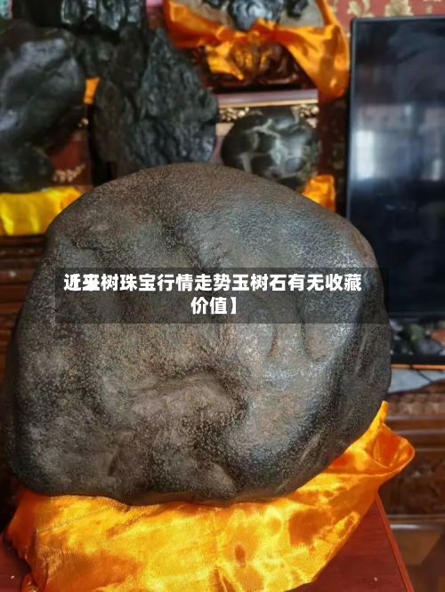 近来【玉树珠宝行情走势玉树石有无收藏价值】