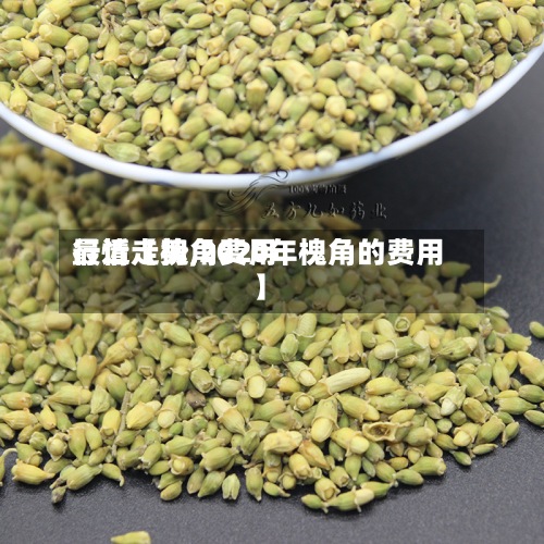 最近【槐角费用行情走势,2020年槐角的费用】
