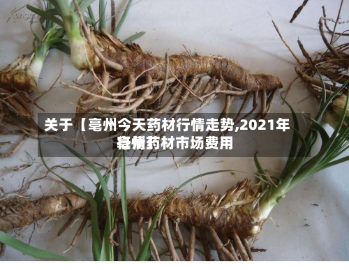 关于【亳州今天药材行情走势,2021年亳州药材市场费用
行情】-第2张图片