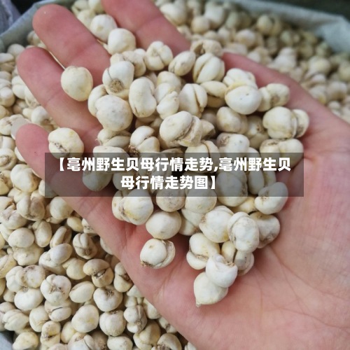 【亳州野生贝母行情走势,亳州野生贝母行情走势图】-第2张图片