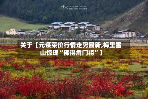 关于【元谋菜价行情走势最新,梅里雪山惊现“佛得角门将”】
