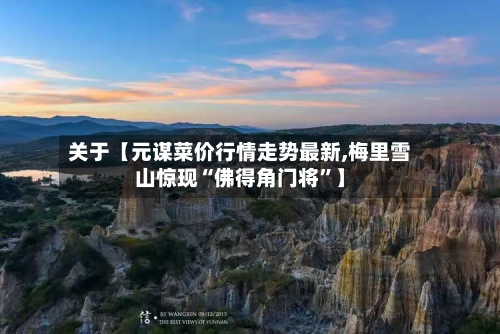 关于【元谋菜价行情走势最新,梅里雪山惊现“佛得角门将”】-第3张图片