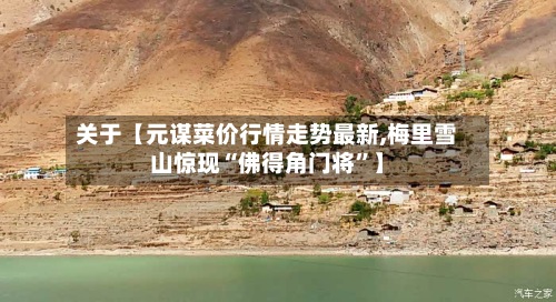 关于【元谋菜价行情走势最新,梅里雪山惊现“佛得角门将”】-第2张图片