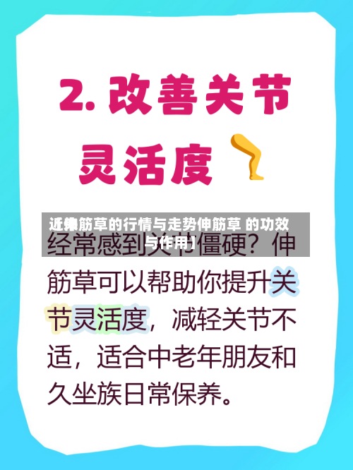 近来【伸筋草的行情与走势伸筋草 的功效与作用】