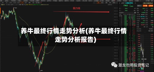 养牛最终行情走势分析(养牛最终行情走势分析报告)-第2张图片