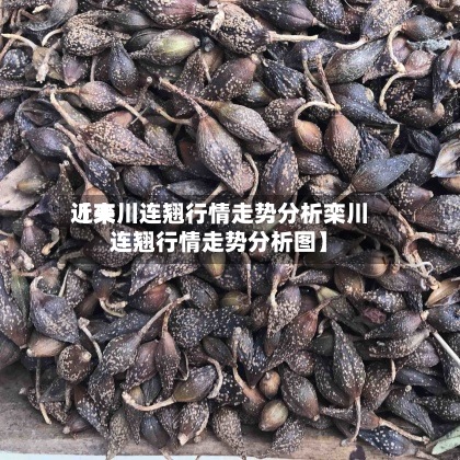 近来
【栾川连翘行情走势分析栾川连翘行情走势分析图】