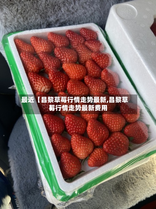 最近【昌黎草莓行情走势最新,昌黎草莓行情走势最新费用】-第3张图片