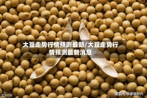 大豆走势行情预测最新/大豆走势行情预测最新消息-第3张图片