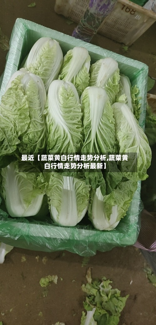 最近【蔬菜黄白行情走势分析,蔬菜黄白行情走势分析最新】-第2张图片