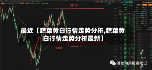 最近【蔬菜黄白行情走势分析,蔬菜黄白行情走势分析最新】