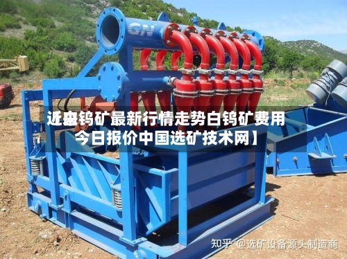 近来【白钨矿最新行情走势白钨矿费用今日报价中国选矿技术网】