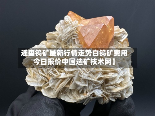 近来
【白钨矿最新行情走势白钨矿费用
今日报价中国选矿技术网】-第2张图片