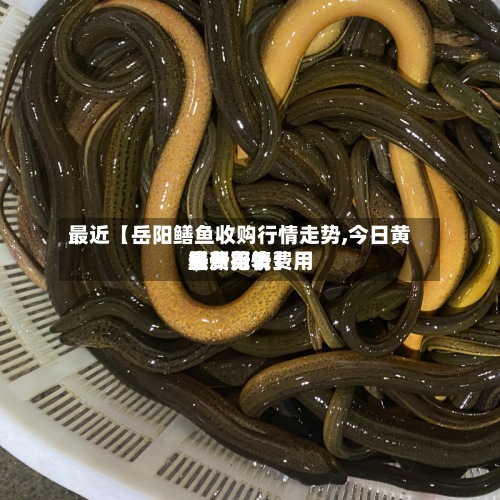 最近【岳阳鳝鱼收购行情走势,今日黄鳝费用
最新行情费用
表一览表】-第2张图片