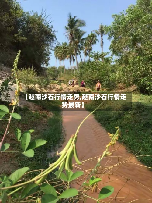 【越南沙石行情走势,越南沙石行情走势最新】