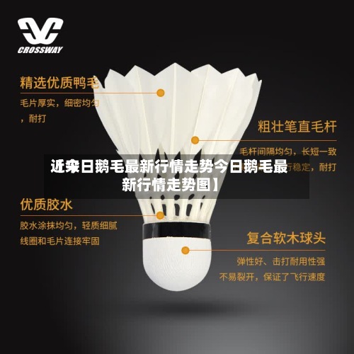 近来
【今日鹅毛最新行情走势今日鹅毛最新行情走势图】
