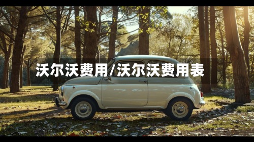 沃尔沃费用/沃尔沃费用表-第3张图片