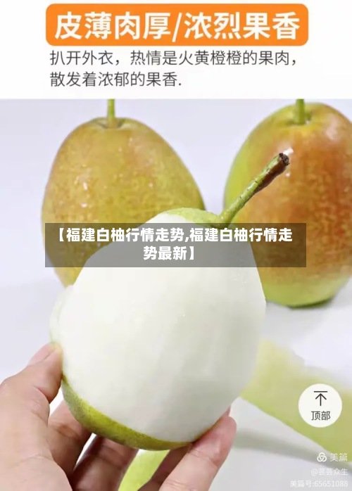 【福建白柚行情走势,福建白柚行情走势最新】-第3张图片