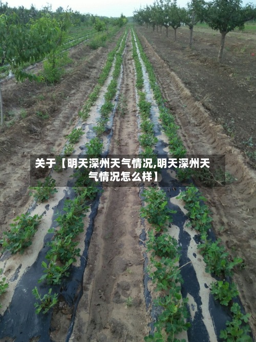 关于【明天深州天气情况,明天深州天气情况怎么样】
