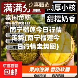 南宁榴莲今日行情走势(南宁榴莲今日行情走势图)