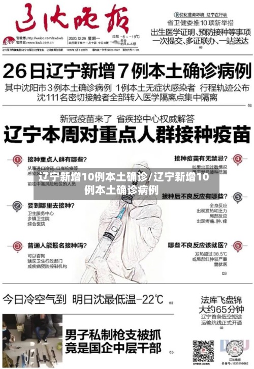 辽宁新增10例本土确诊/辽宁新增10例本土确诊病例