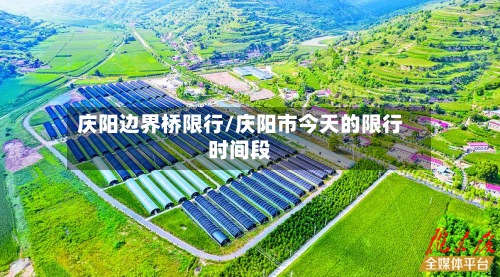 庆阳边界桥限行/庆阳市今天的限行时间段-第3张图片
