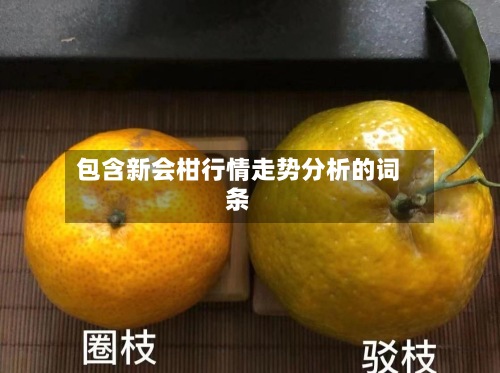 包含新会柑行情走势分析的词条