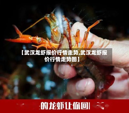【武汉龙虾报价行情走势,武汉龙虾报价行情走势图】-第2张图片