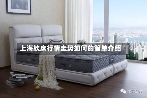 上海软床行情走势如何的简单介绍-第3张图片