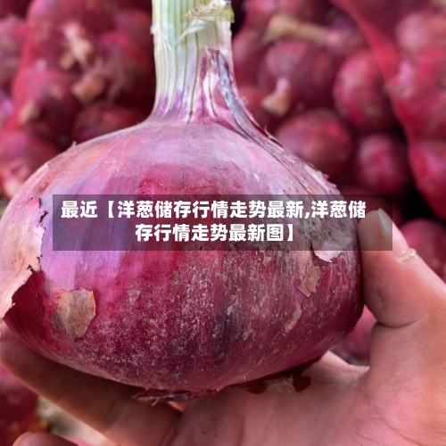 最近【洋葱储存行情走势最新,洋葱储存行情走势最新图】-第3张图片