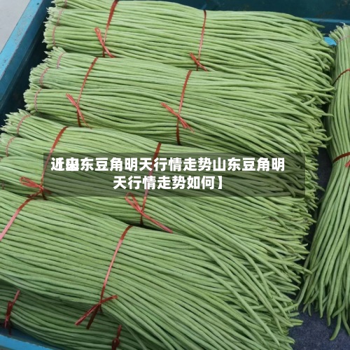近来
【山东豆角明天行情走势山东豆角明天行情走势如何】