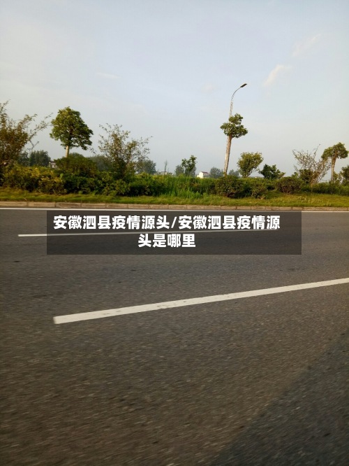 安徽泗县疫情源头/安徽泗县疫情源头是哪里-第3张图片