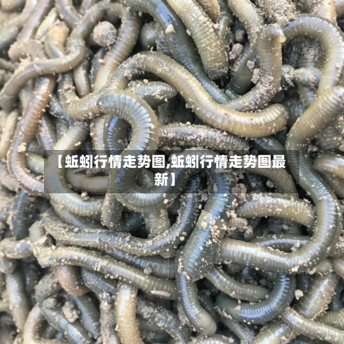 【蚯蚓行情走势图,蚯蚓行情走势图最新】
