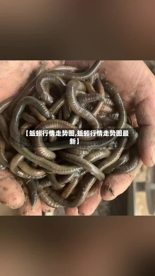 【蚯蚓行情走势图,蚯蚓行情走势图最新】-第2张图片