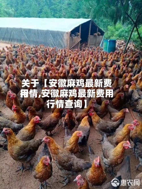 关于【安徽麻鸡最新费用行情,安徽麻鸡最新费用行情查询】