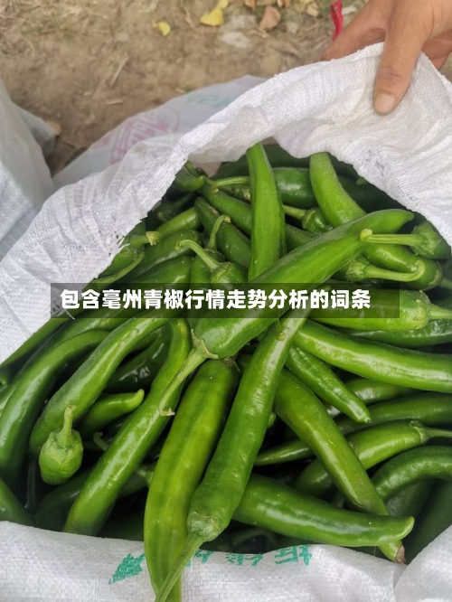 包含毫州青椒行情走势分析的词条