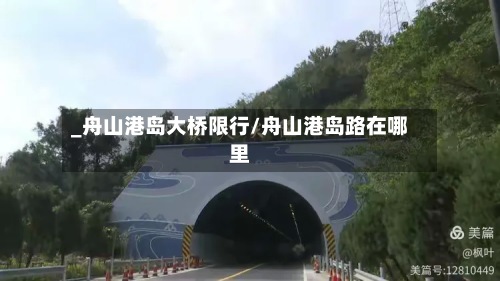 _舟山港岛大桥限行/舟山港岛路在哪里
