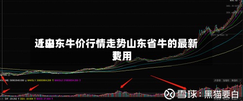近来
【山东牛价行情走势山东省牛的最新费用
】