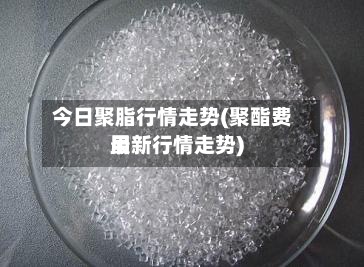 今日聚脂行情走势(聚酯费用最新行情走势)