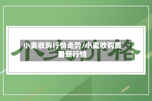 小麦收购行情走势/小麦收购费用
最新行情