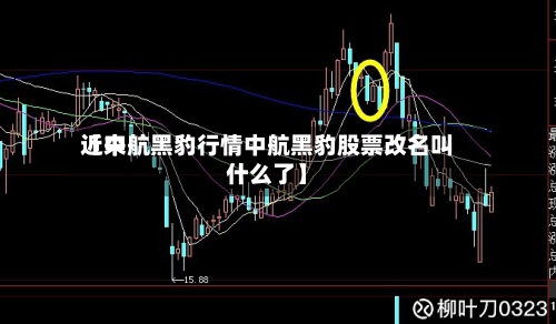 近来【中航黑豹行情中航黑豹股票改名叫什么了】