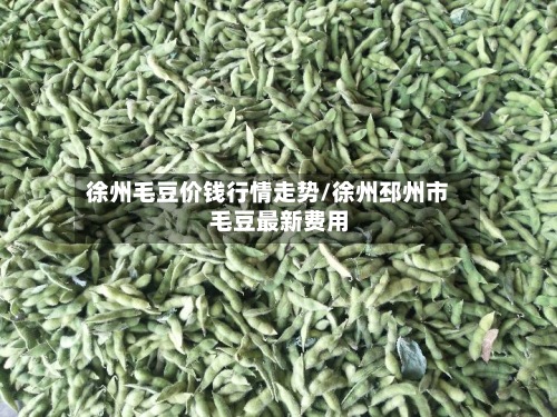 徐州毛豆价钱行情走势/徐州邳州市毛豆最新费用