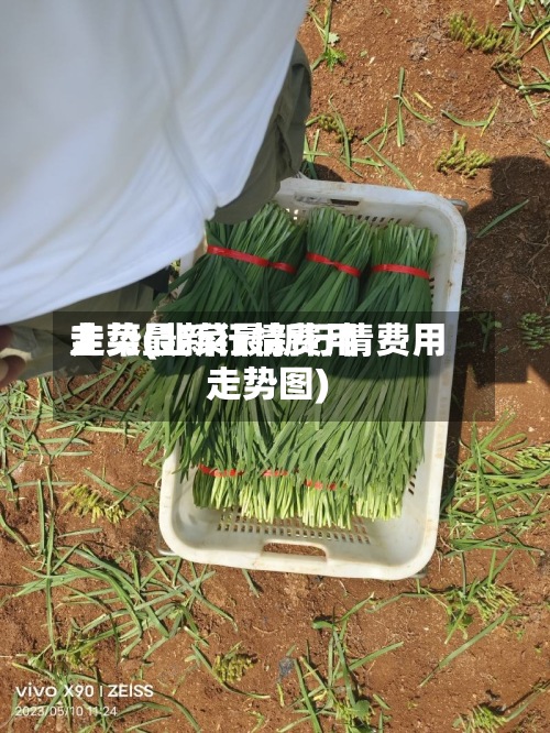 韭菜最新行情费用
走势(韭菜最新行情费用
走势图)