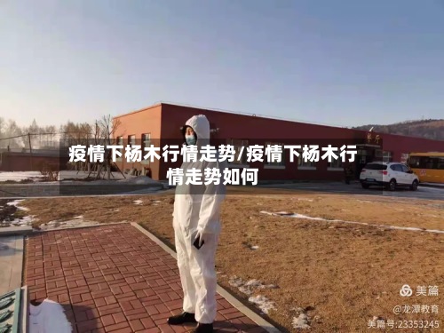 疫情下杨木行情走势/疫情下杨木行情走势如何