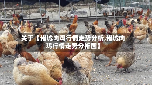 关于【诸城肉鸡行情走势分析,诸城肉鸡行情走势分析图】